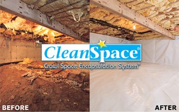 CleanSpace Before and After