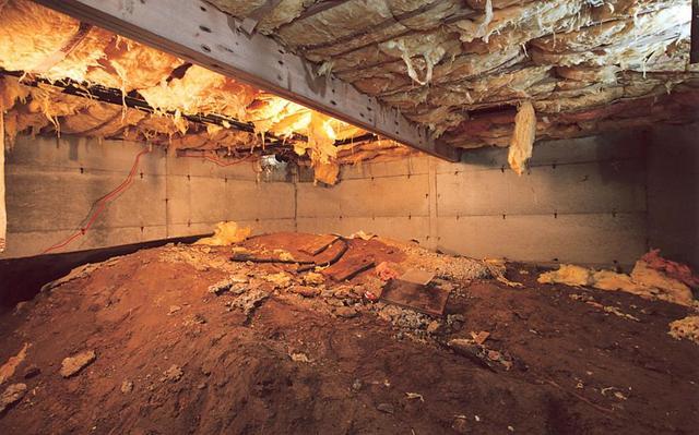 Crawl Space Before