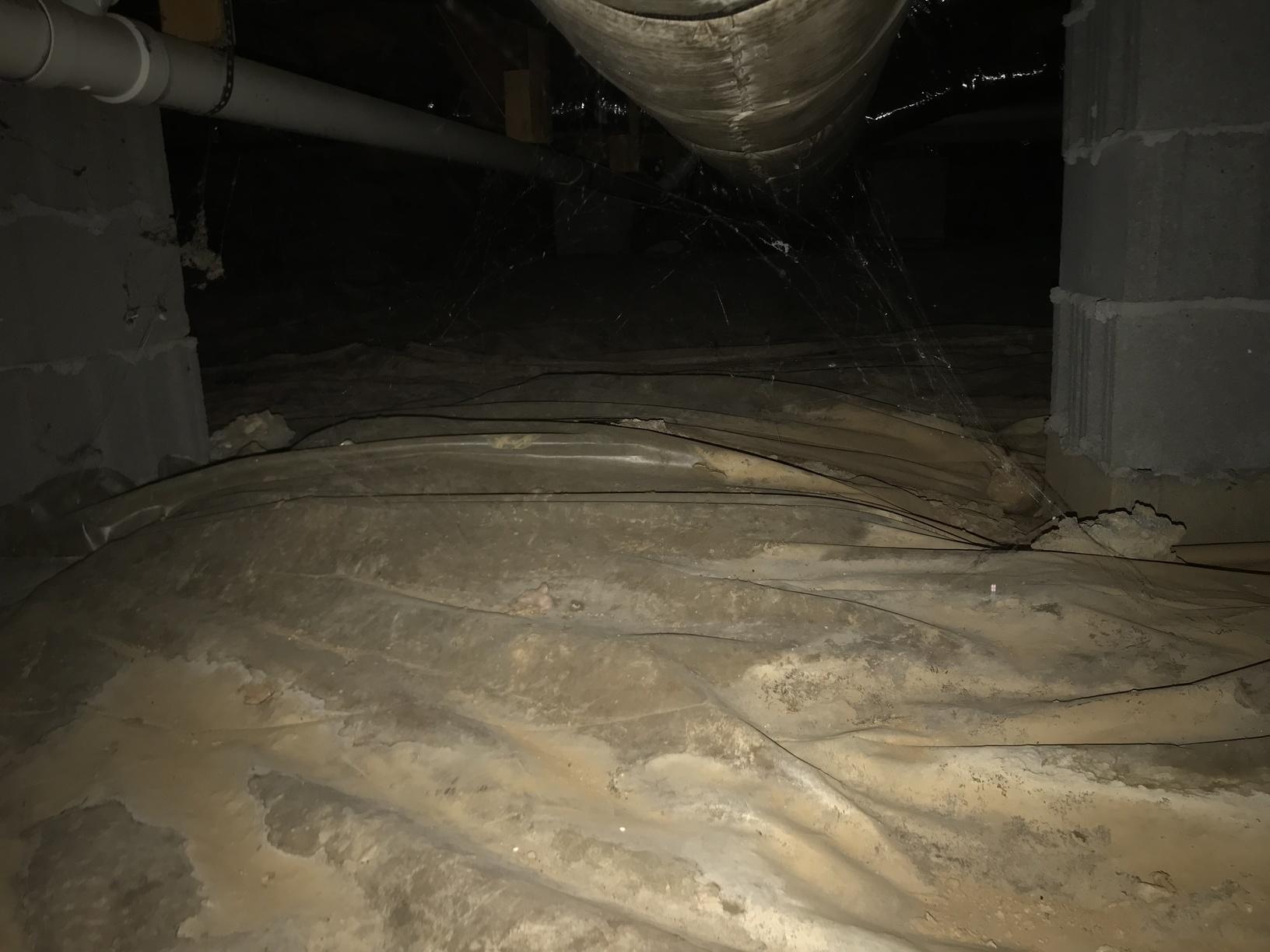A dirty crawl space can make for an unhealthy home. Mold and wood rot occur.